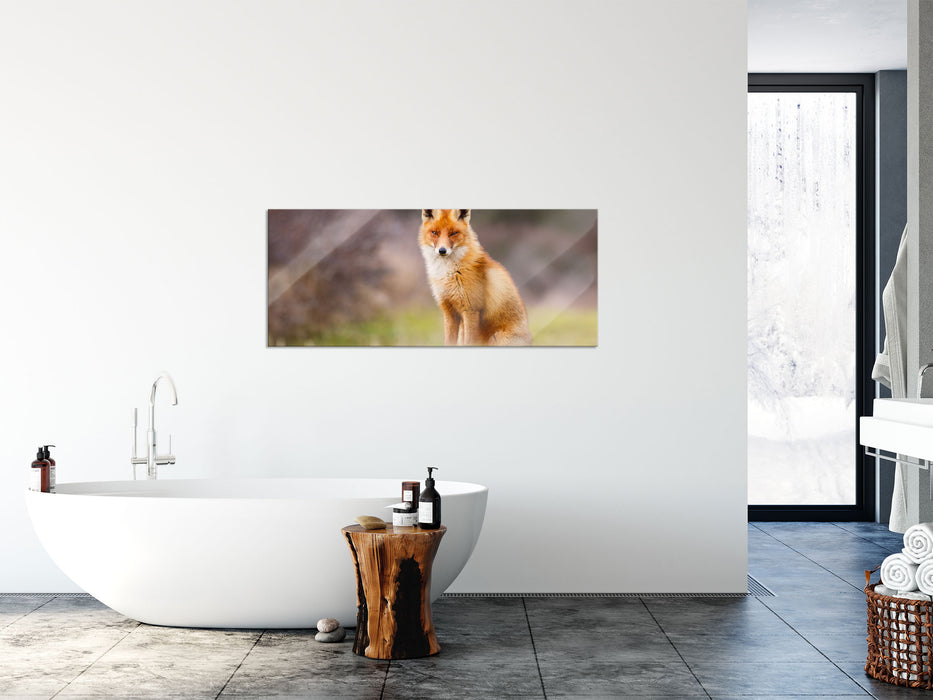 Listiger Fuchs, Glasbild Panorama