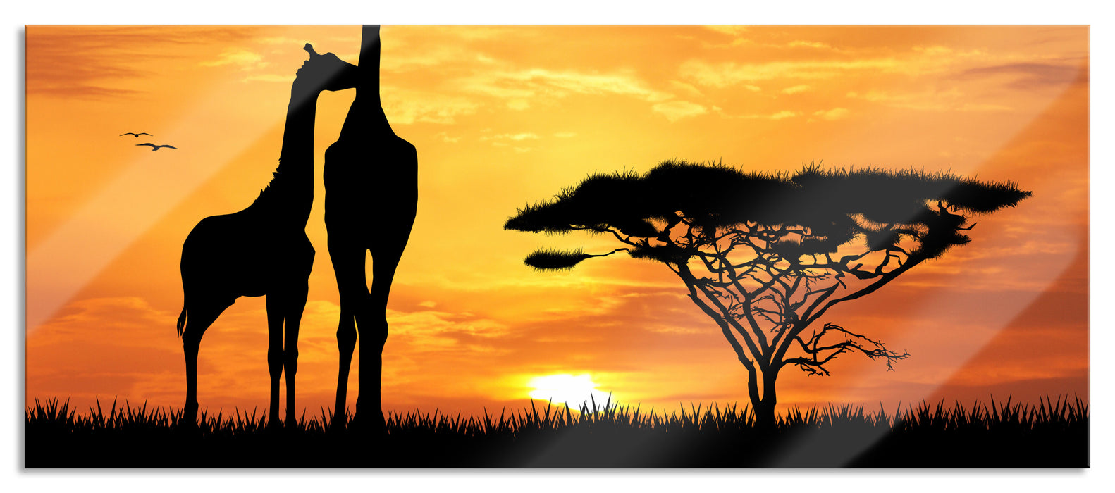 Pixxprint Giraffen im Sonnenuntergang, Glasbild Panorama