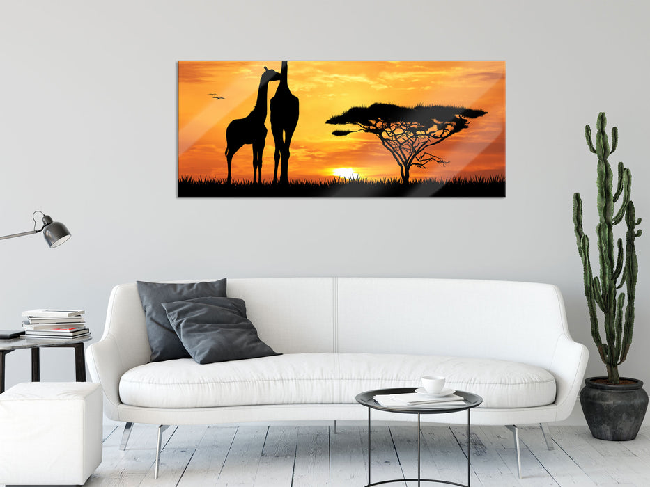 Giraffen im Sonnenuntergang, Glasbild Panorama