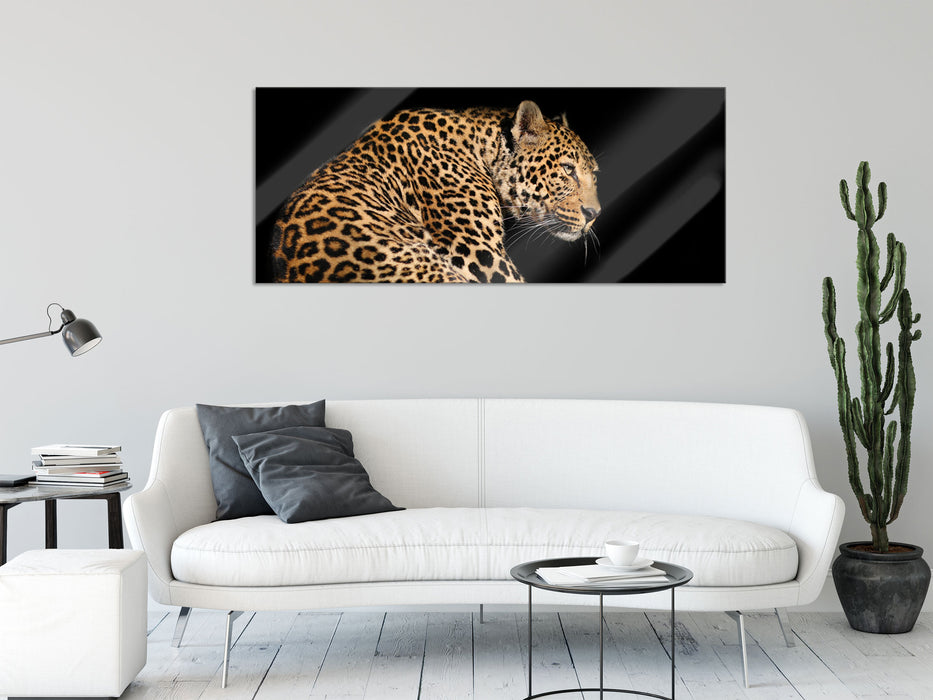 Anmutiger Leopard, Glasbild Panorama