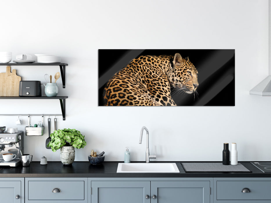 Anmutiger Leopard, Glasbild Panorama