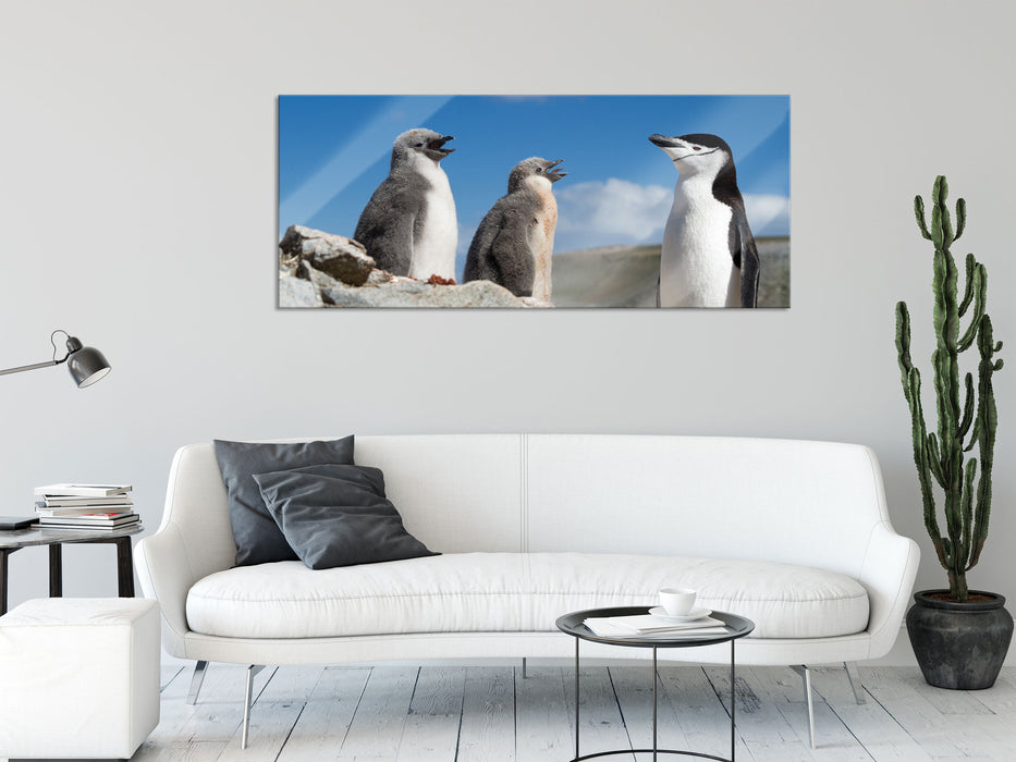 Pinguin mit süßen Küken, Glasbild Panorama