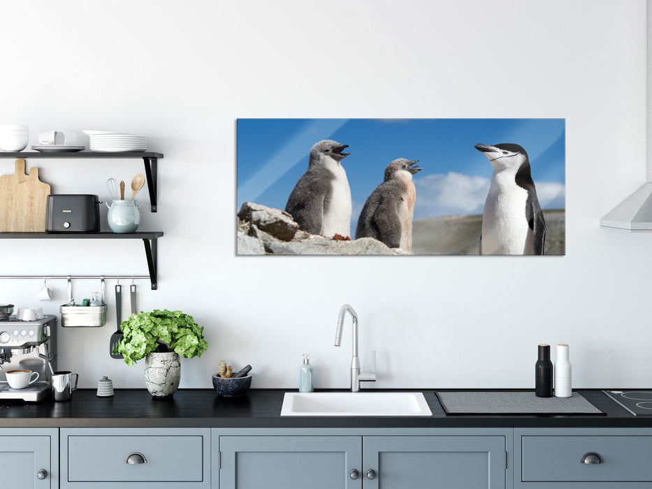 Pinguin mit süßen Küken, Glasbild Panorama