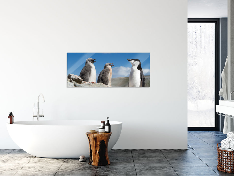 Pinguin mit süßen Küken, Glasbild Panorama