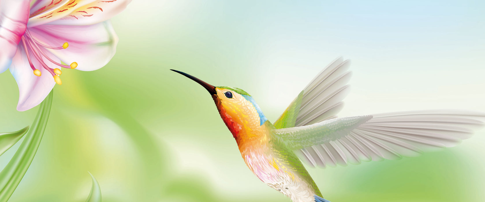 Wunderschöner Kolibri mit Blüte, Glasbild Panorama