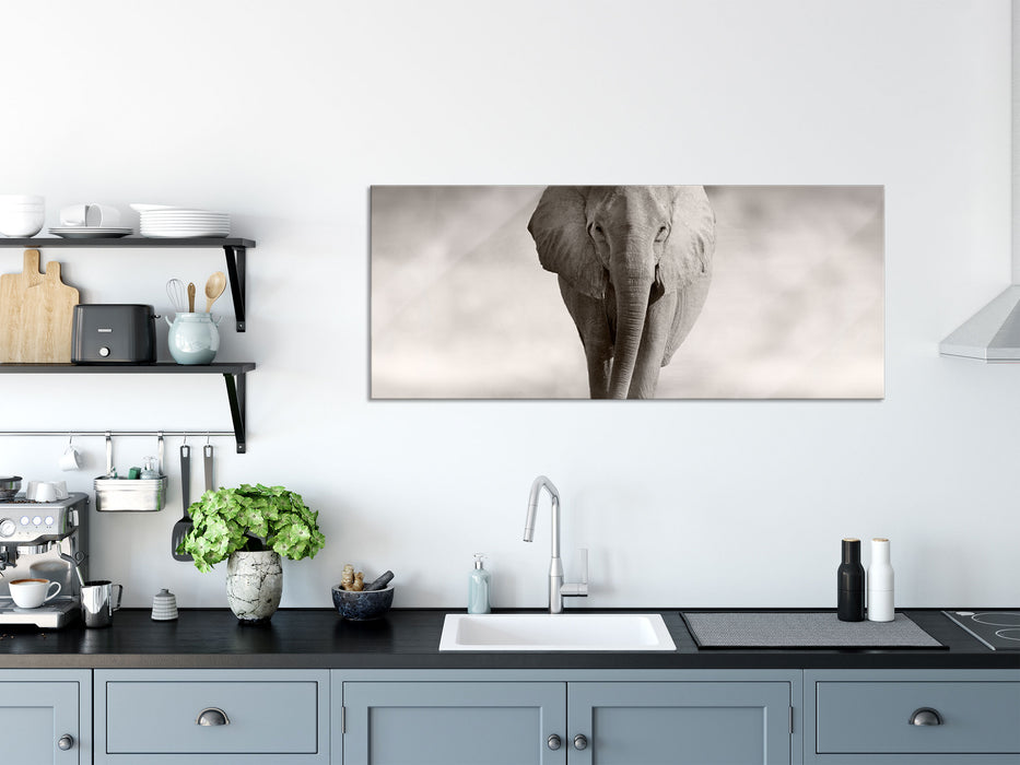 Einsamer Elefant, Glasbild Panorama