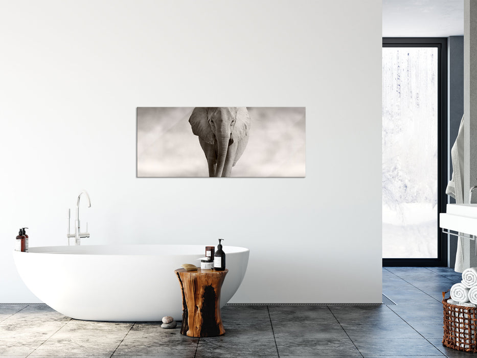 Einsamer Elefant, Glasbild Panorama