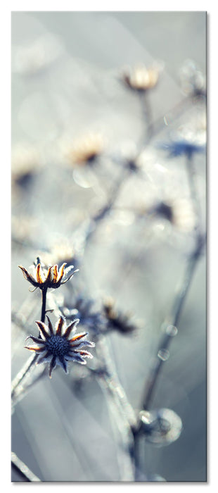 Pixxprint Pflanzen im Frost, Glasbild Panorama