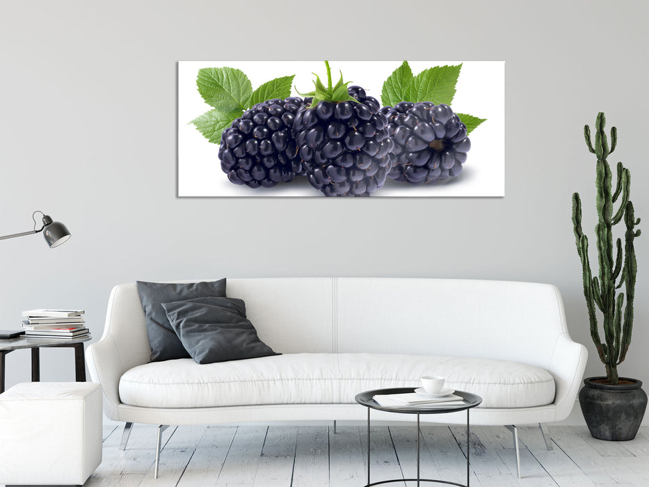 Leckere Brombeeren, Glasbild Panorama