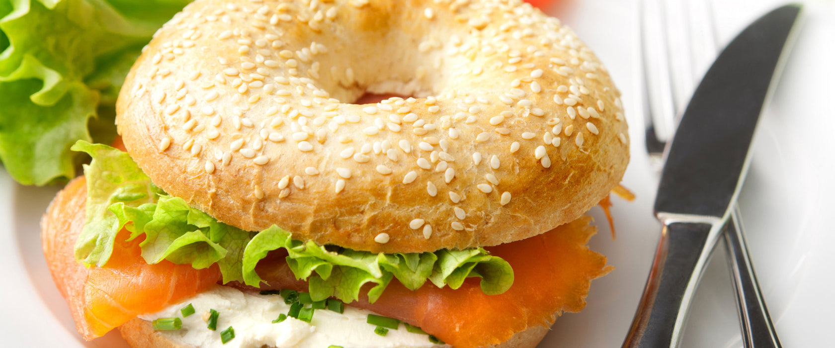 Frischer Lachs Beagle, Glasbild Panorama