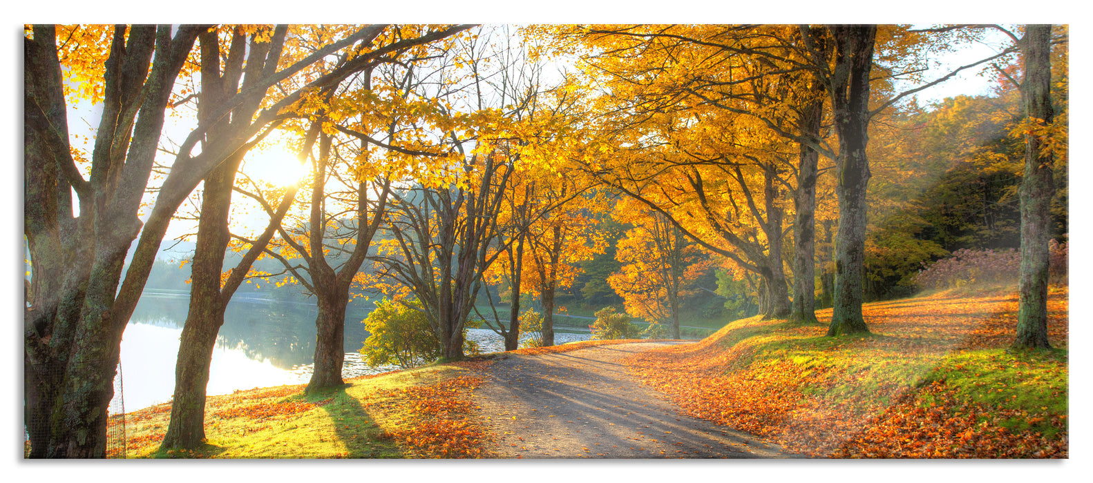 Pixxprint Sonniger Park am See, Glasbild Panorama