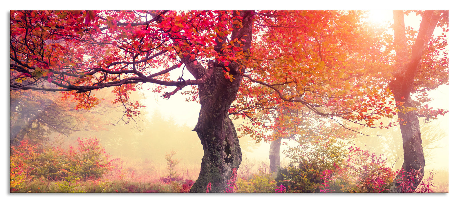 Pixxprint Traumhafte Herbstlandschaft, Glasbild Panorama