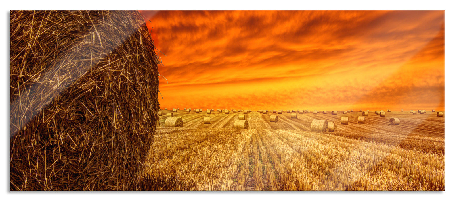 Pixxprint Feld im Sonnenuntergang, Glasbild Panorama