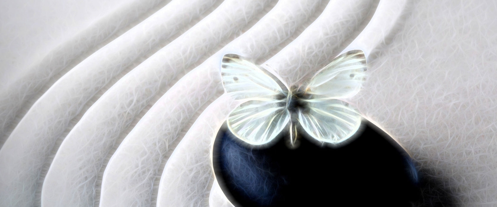 Schmetterling auf Zen Stein, Glasbild Panorama