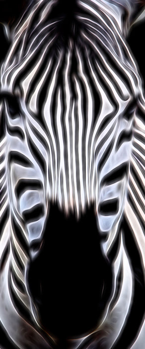 Zebra Porträt, Glasbild Panorama