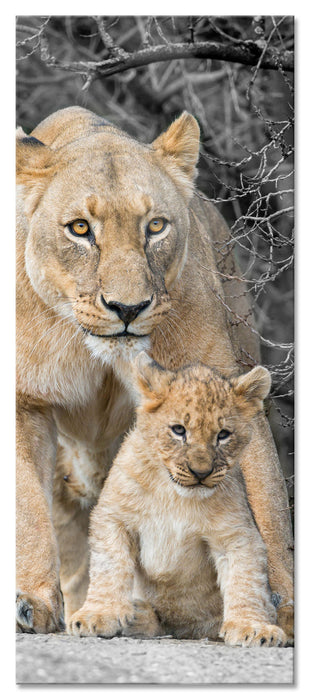 Pixxprint schöne Löwin mit süßem Jungtier, Glasbild Panorama