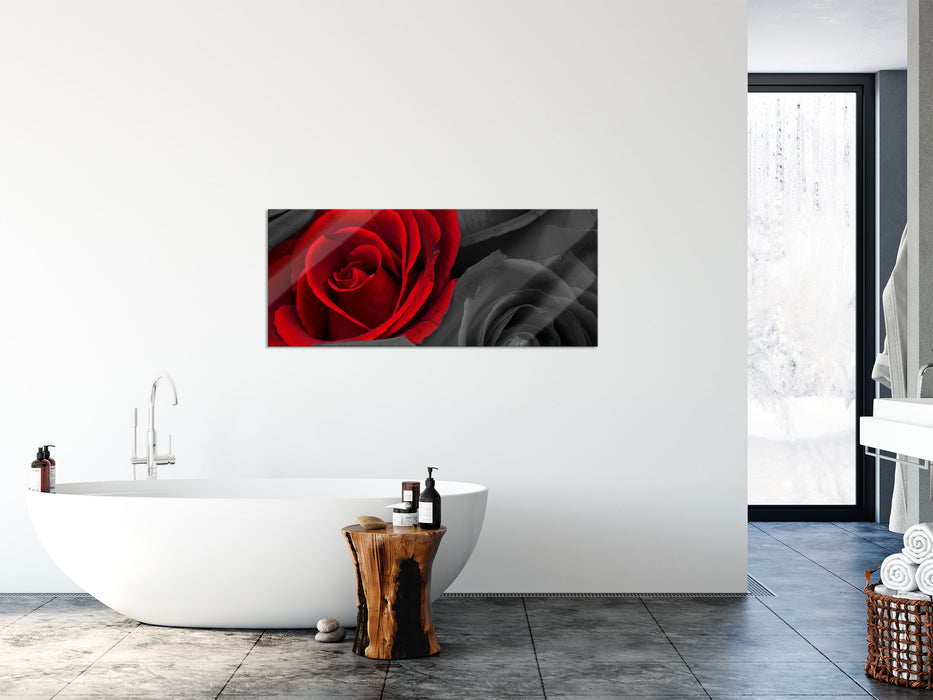 romantische rote Rosen, Glasbild Panorama