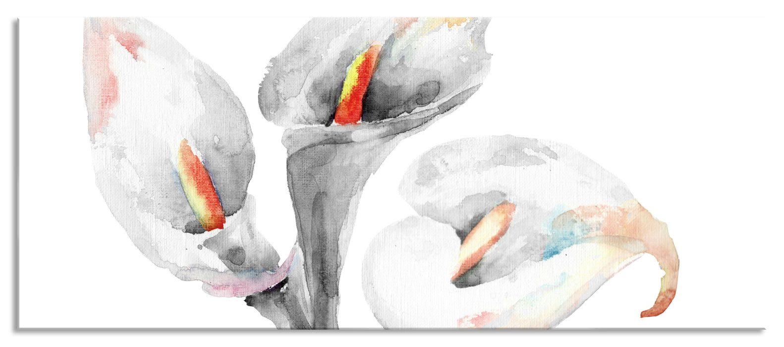 Pixxprint Callas Aquarellblüten, Glasbild Panorama