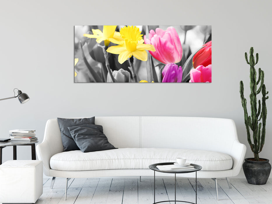 schöne Narzissen mit Tulpen, Glasbild Panorama