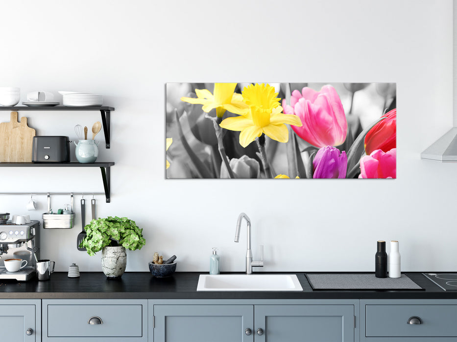 schöne Narzissen mit Tulpen, Glasbild Panorama