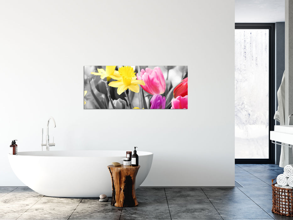 schöne Narzissen mit Tulpen, Glasbild Panorama