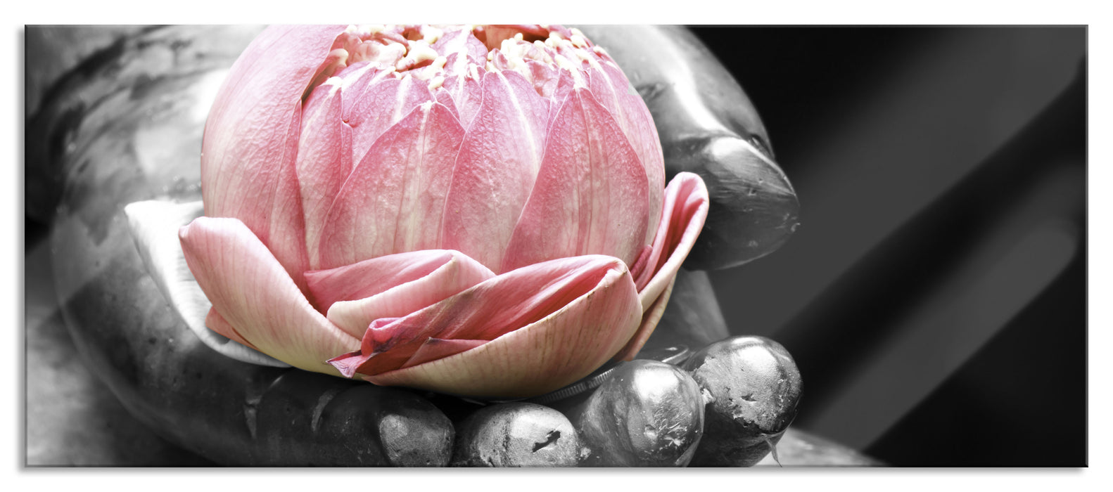 Pixxprint Lotus in einer Hand eines Buddhas, Glasbild Panorama