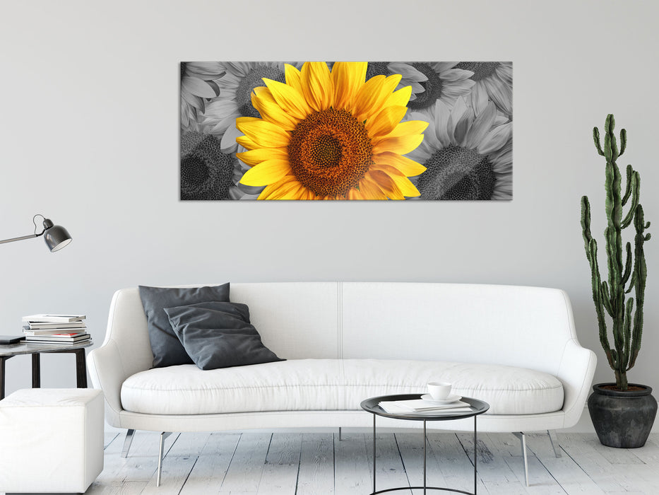 schöne Sonnenblumen, Glasbild Panorama