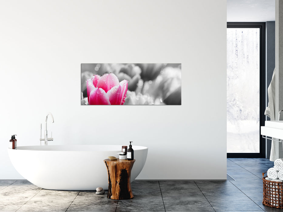 Tulpen im Morgentau, Glasbild Panorama