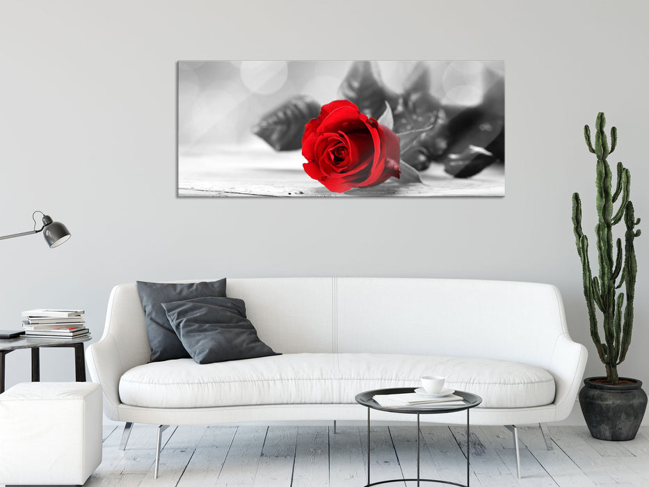 Rose auf Holztisch, Glasbild Panorama