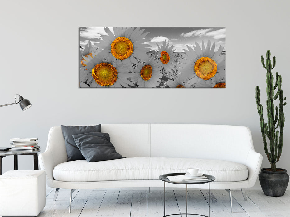 Tolles Sonnenblumenfeld, Glasbild Panorama