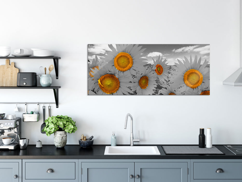 Tolles Sonnenblumenfeld, Glasbild Panorama