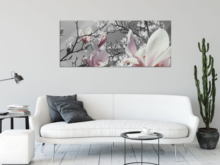 schöne Magnolie Blüten, Glasbild Panorama