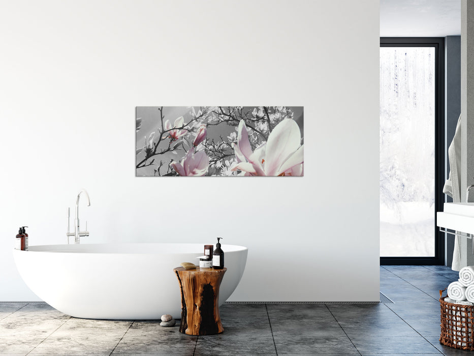 schöne Magnolie Blüten, Glasbild Panorama