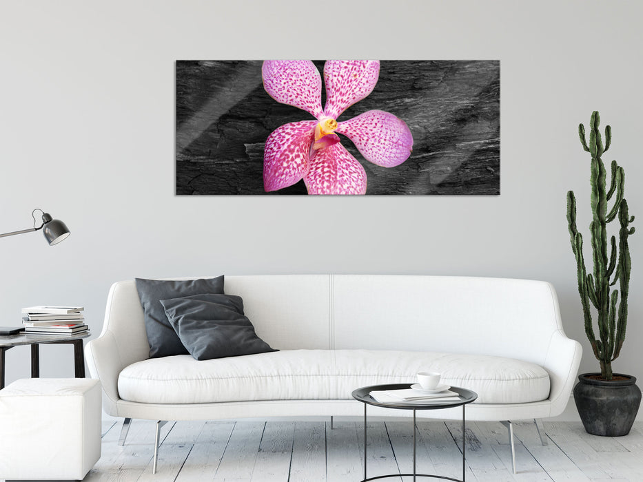 Orchideenblüte auf Rinde, Glasbild Panorama