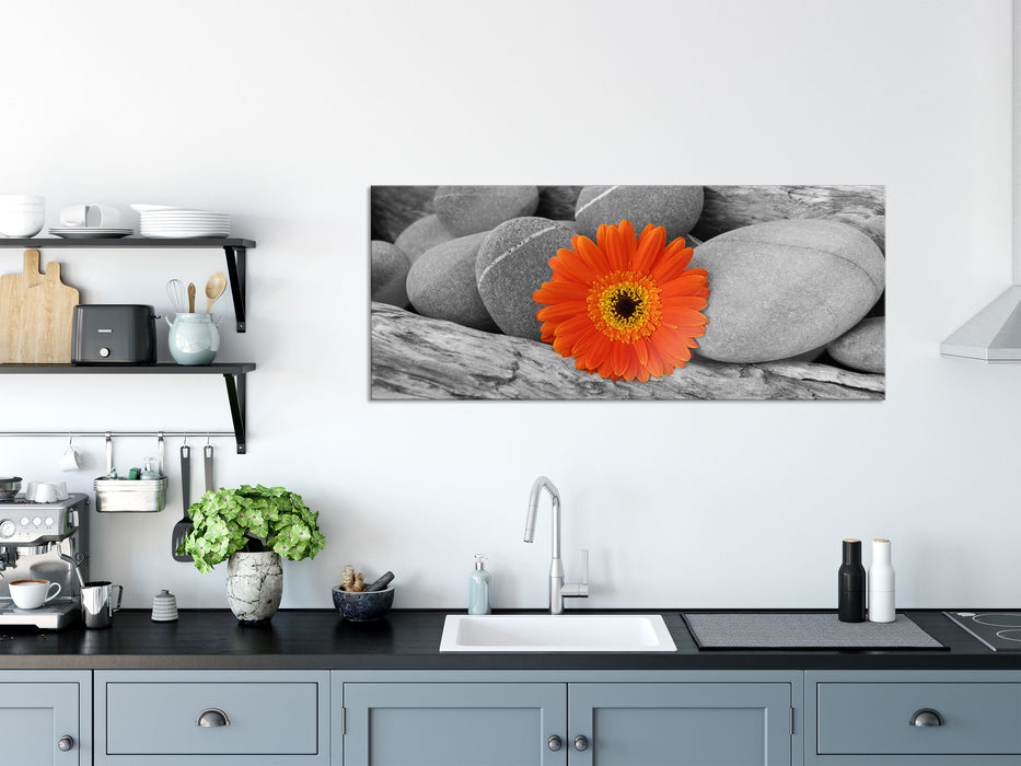 Gerbera zwischen Zen Steinen, Glasbild Panorama