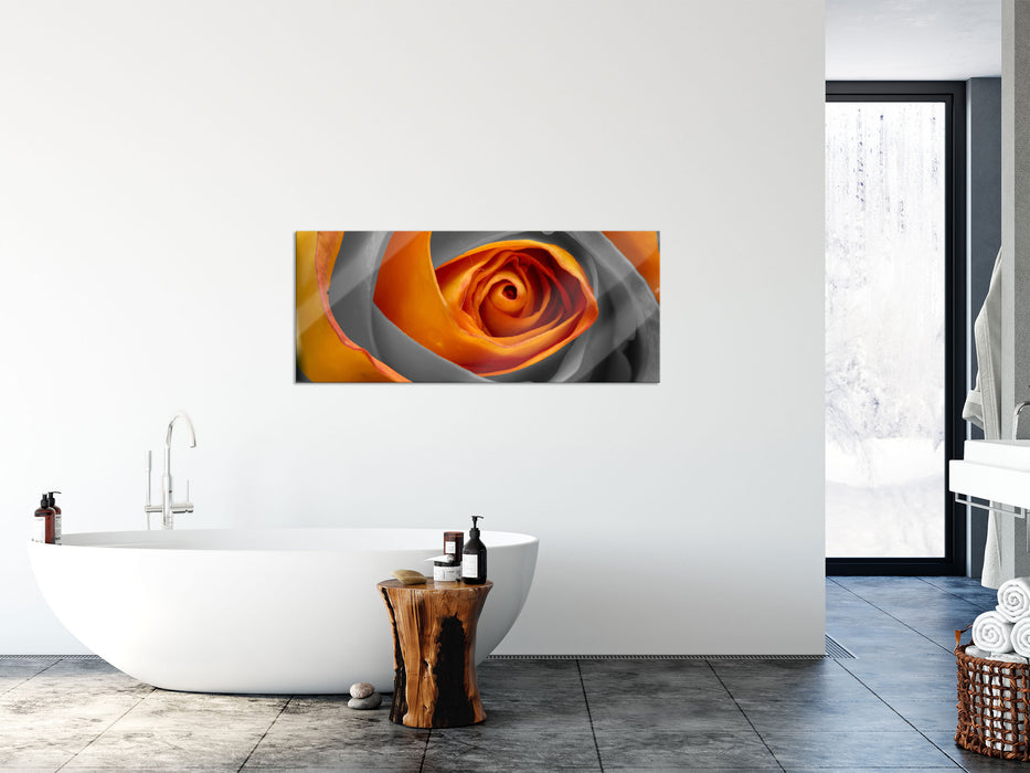 wunderschöne geschlossene Rose, Glasbild Panorama