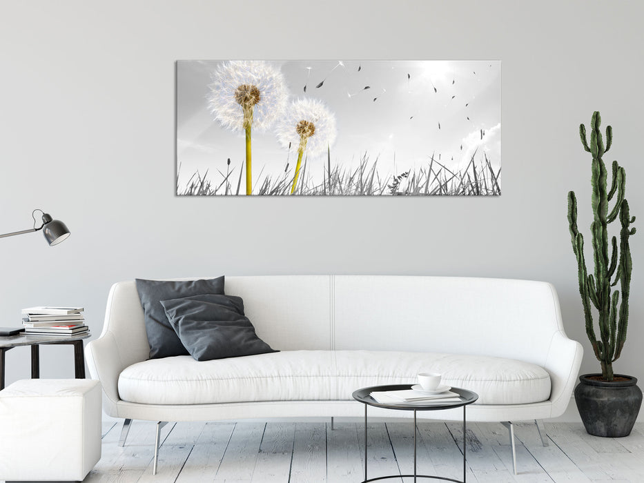 Pusteblumen auf Wiese, Glasbild Panorama