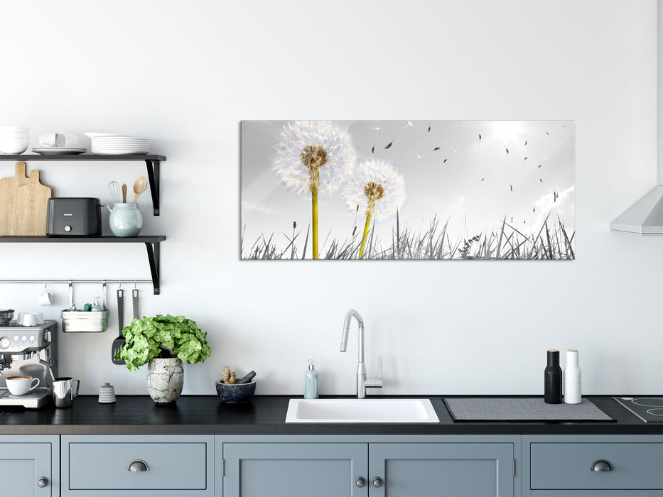 Pusteblumen auf Wiese, Glasbild Panorama