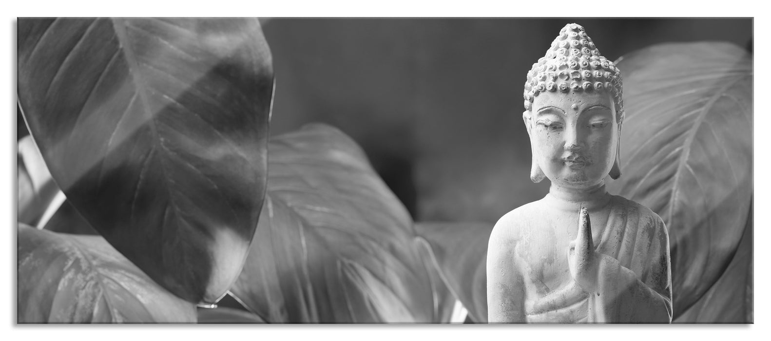 Pixxprint Buddha mit Seerose, Glasbild Panorama