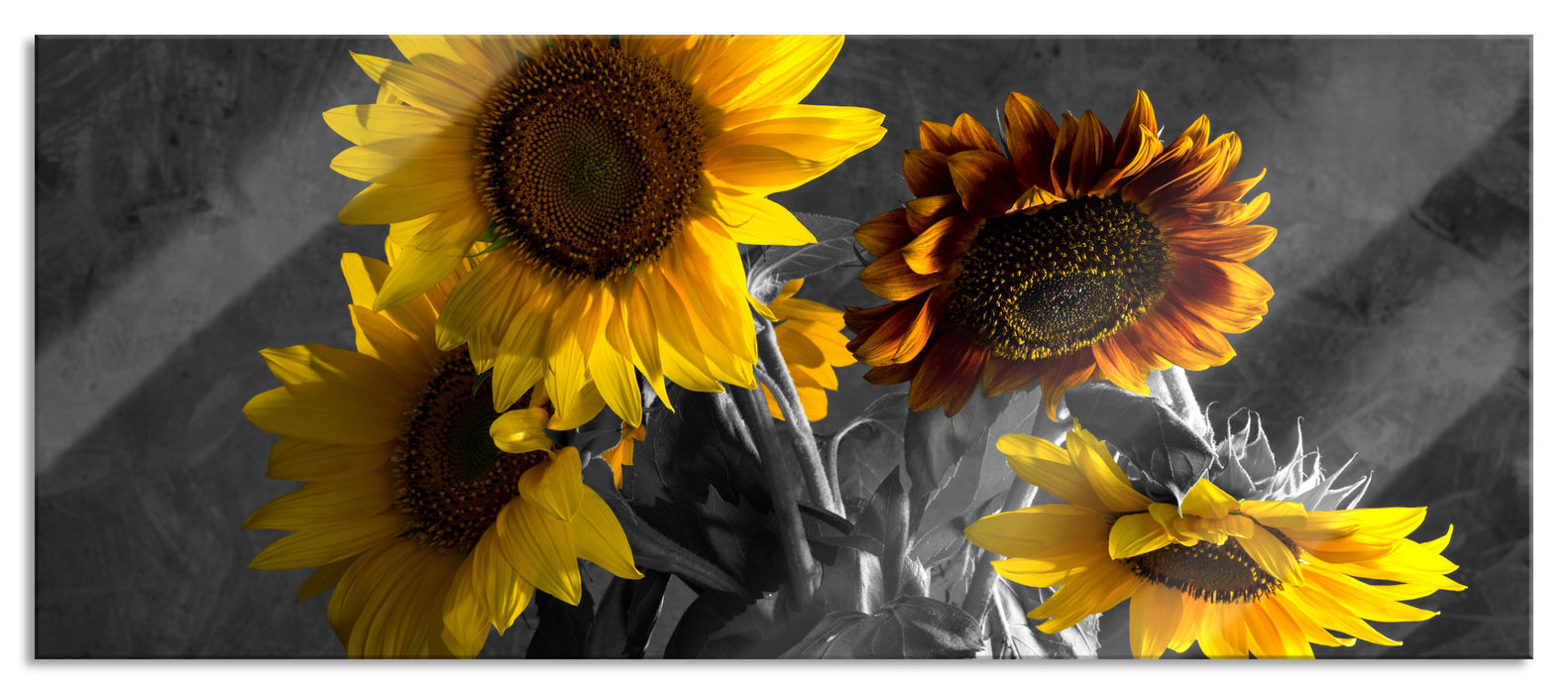 Pixxprint schöne Sonnenblume in Vase, Glasbild Panorama