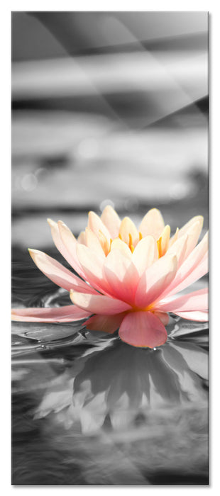 Pixxprint Seerose Wasseroberfläche, Glasbild Panorama