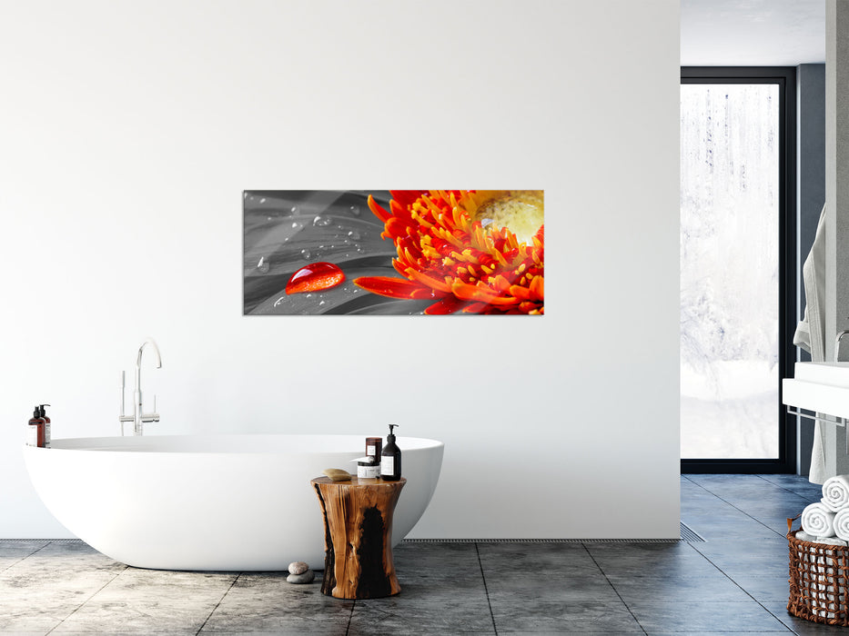 Wassertropfen auf Gerbera, Glasbild Panorama