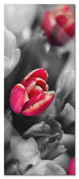 Pixxprint schöner Tulpenstrauß, Glasbild Panorama