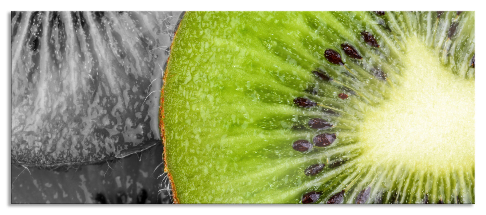 Pixxprint schöne Kiwi Scheiben, Glasbild Panorama