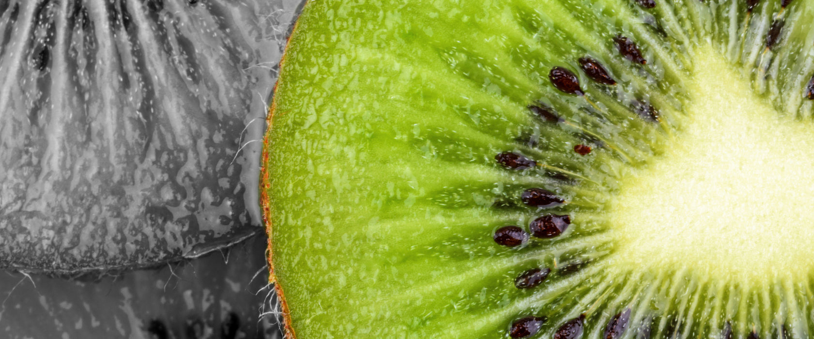 schöne Kiwi Scheiben, Glasbild Panorama