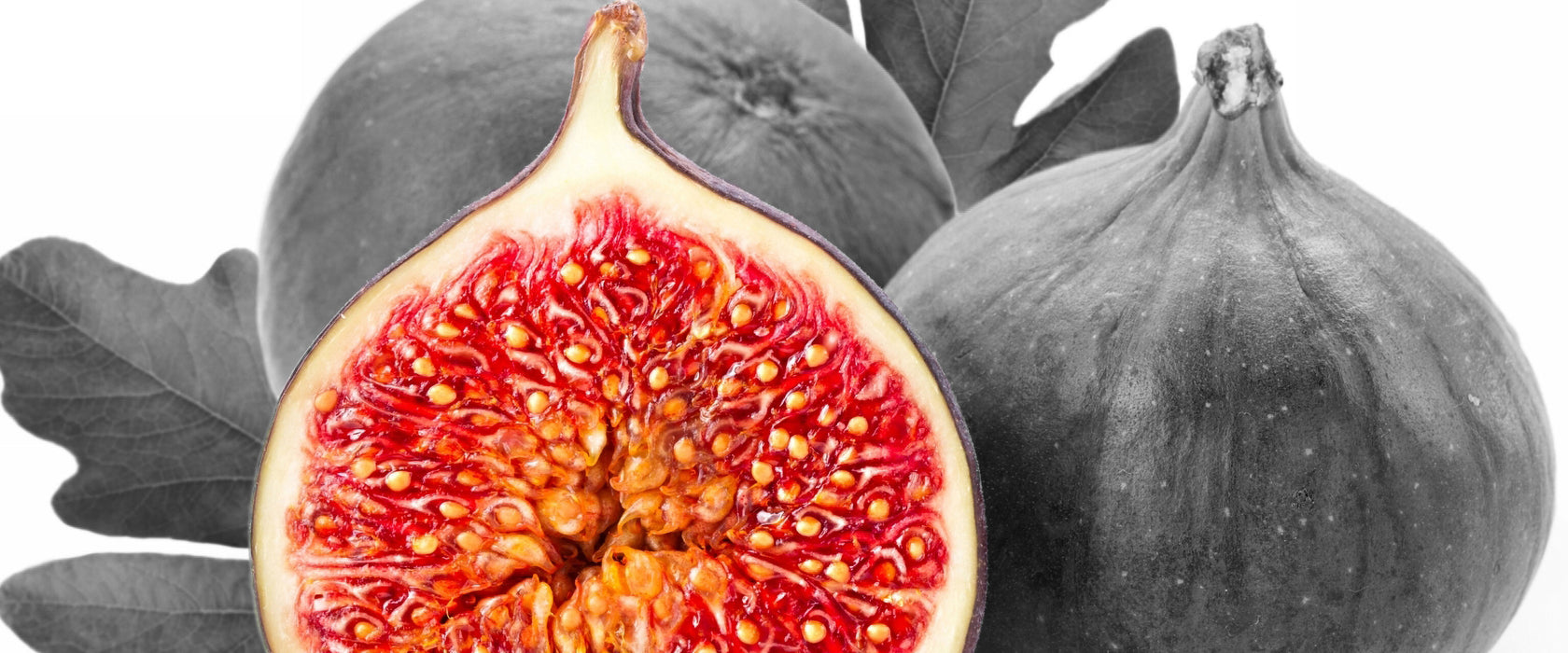 aufgeschnittene Feige, Glasbild Panorama