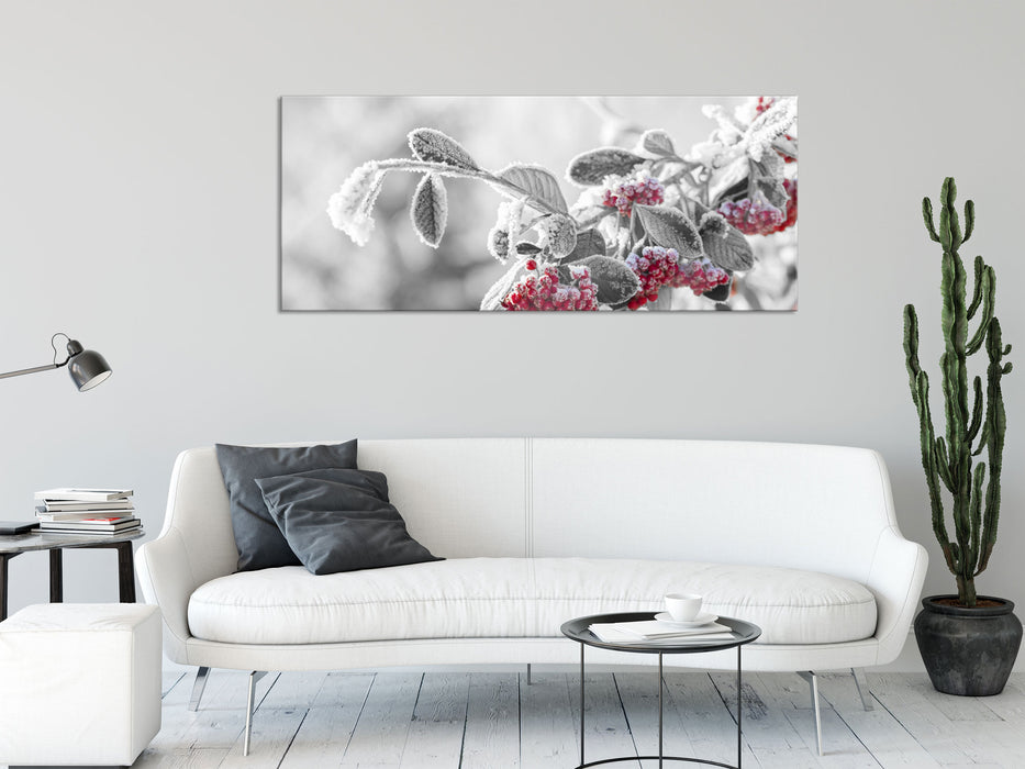 Vogelbeeren im frostigen Winter, Glasbild Panorama