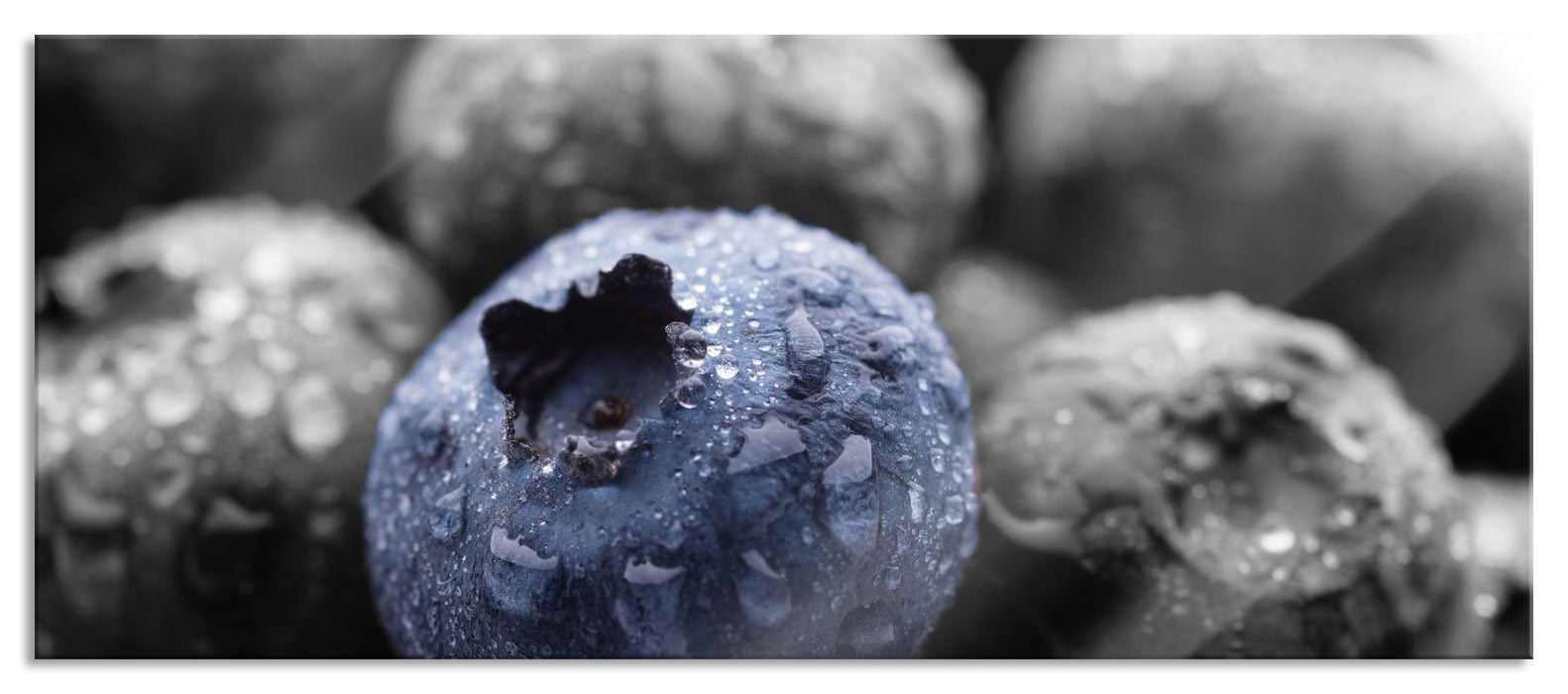 Pixxprint Heidelbeeren mit Tropfen, Glasbild Panorama