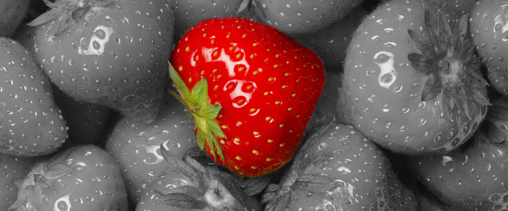 frischer Erdbeertraum, Glasbild Panorama