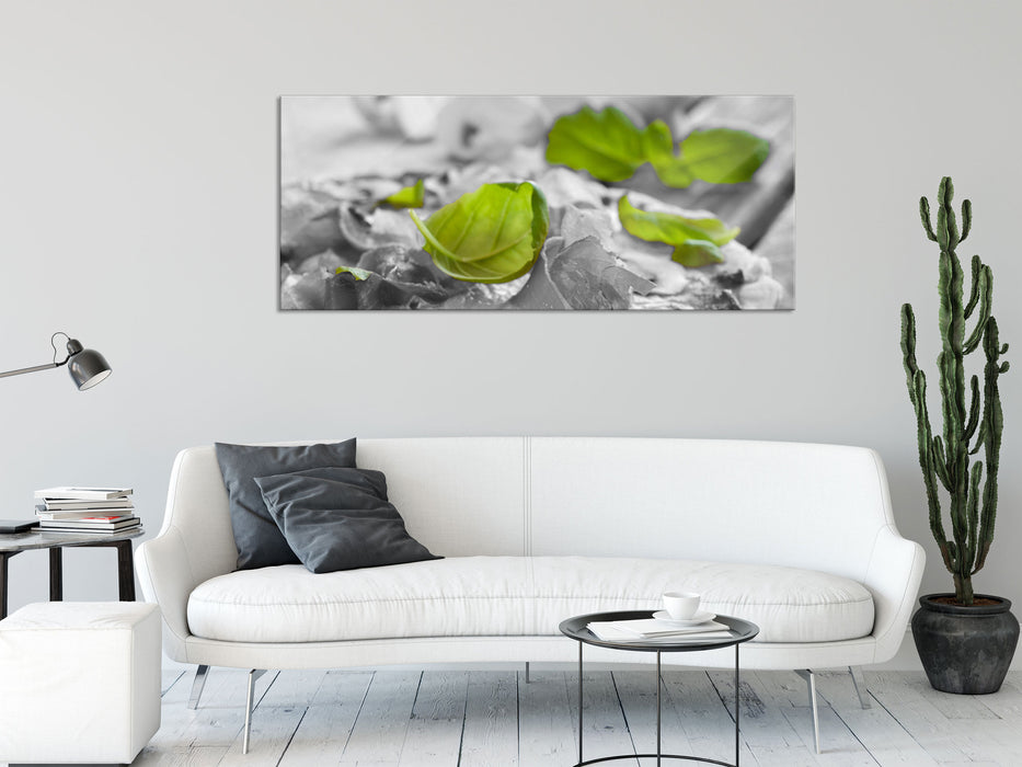 Pizza mit Schinken und Pilzen, Glasbild Panorama